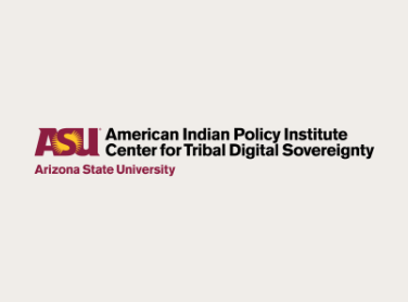 American Indian Policy Institute Center for Tribal Digital Sovereignty Logo